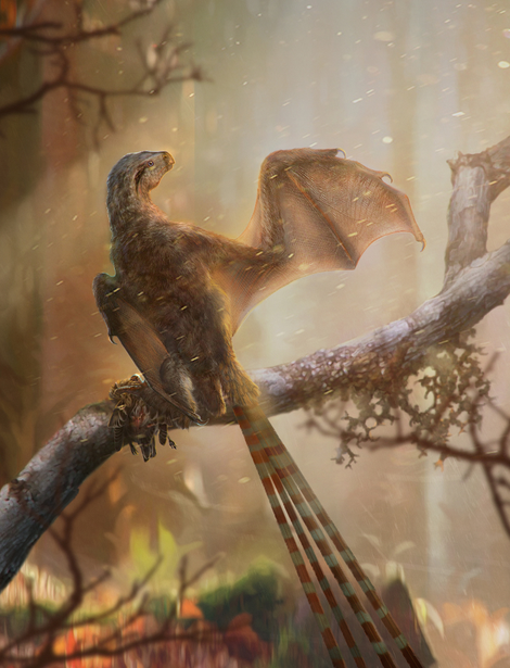 Artist’s impression of Ambopteryx longibrachium.